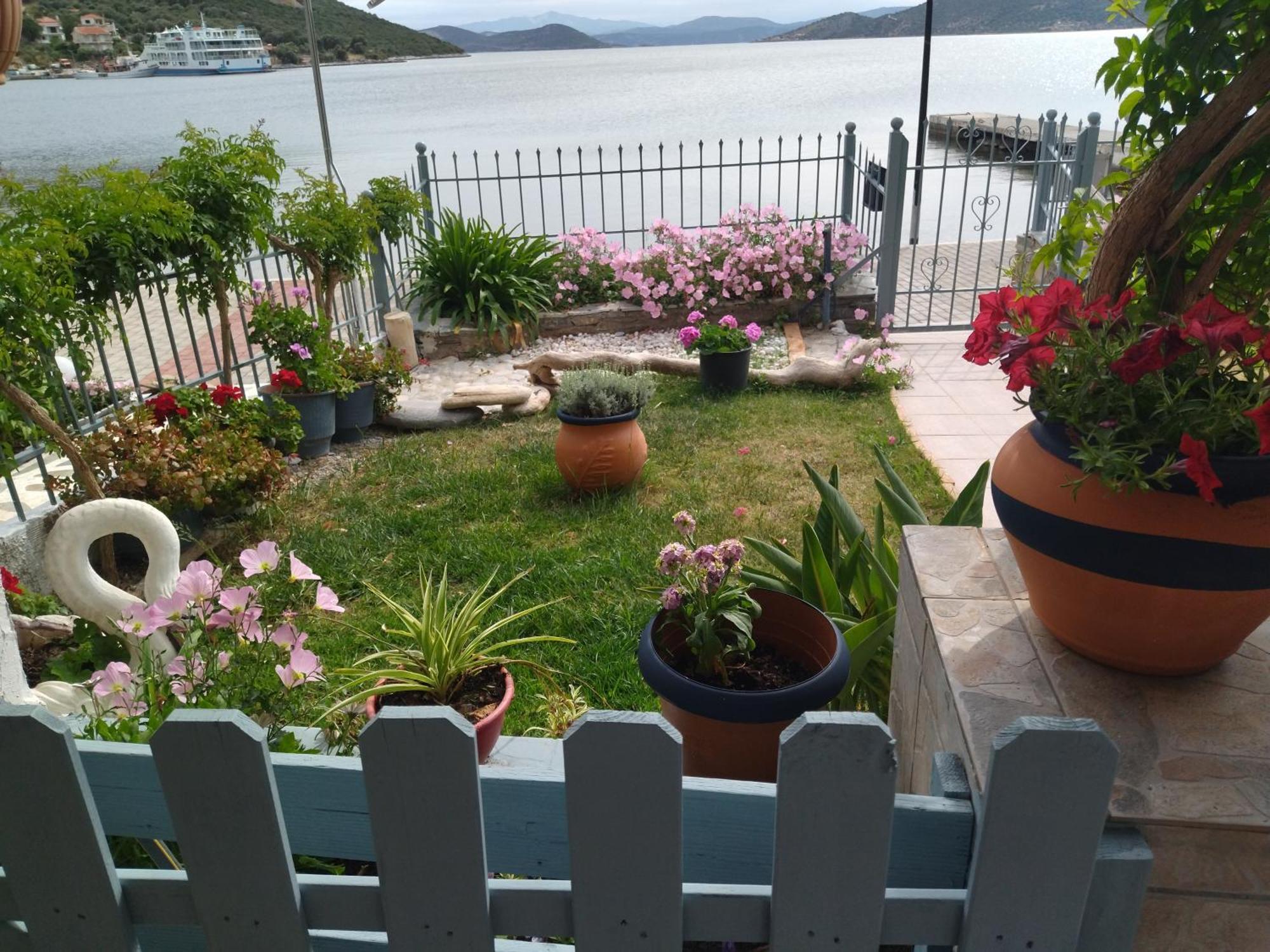 Blue Dreams Guest House Almiropotamos Bilik gambar
